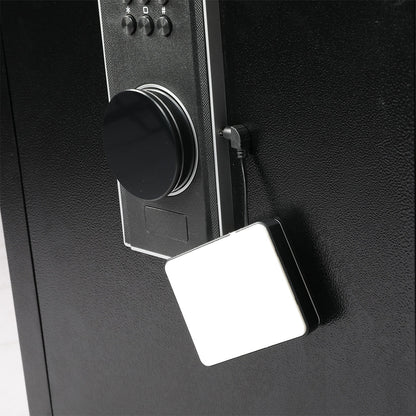 60L Fingerprint Watch Safe
